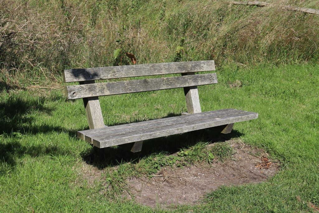 Un banc en bois patiné entouré d'herbe et baigné de soleil dans un parc tranquille.