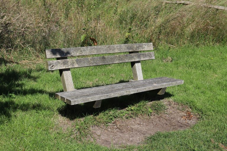 Un banc en bois patiné entouré d'herbe et baigné de soleil dans un parc tranquille.