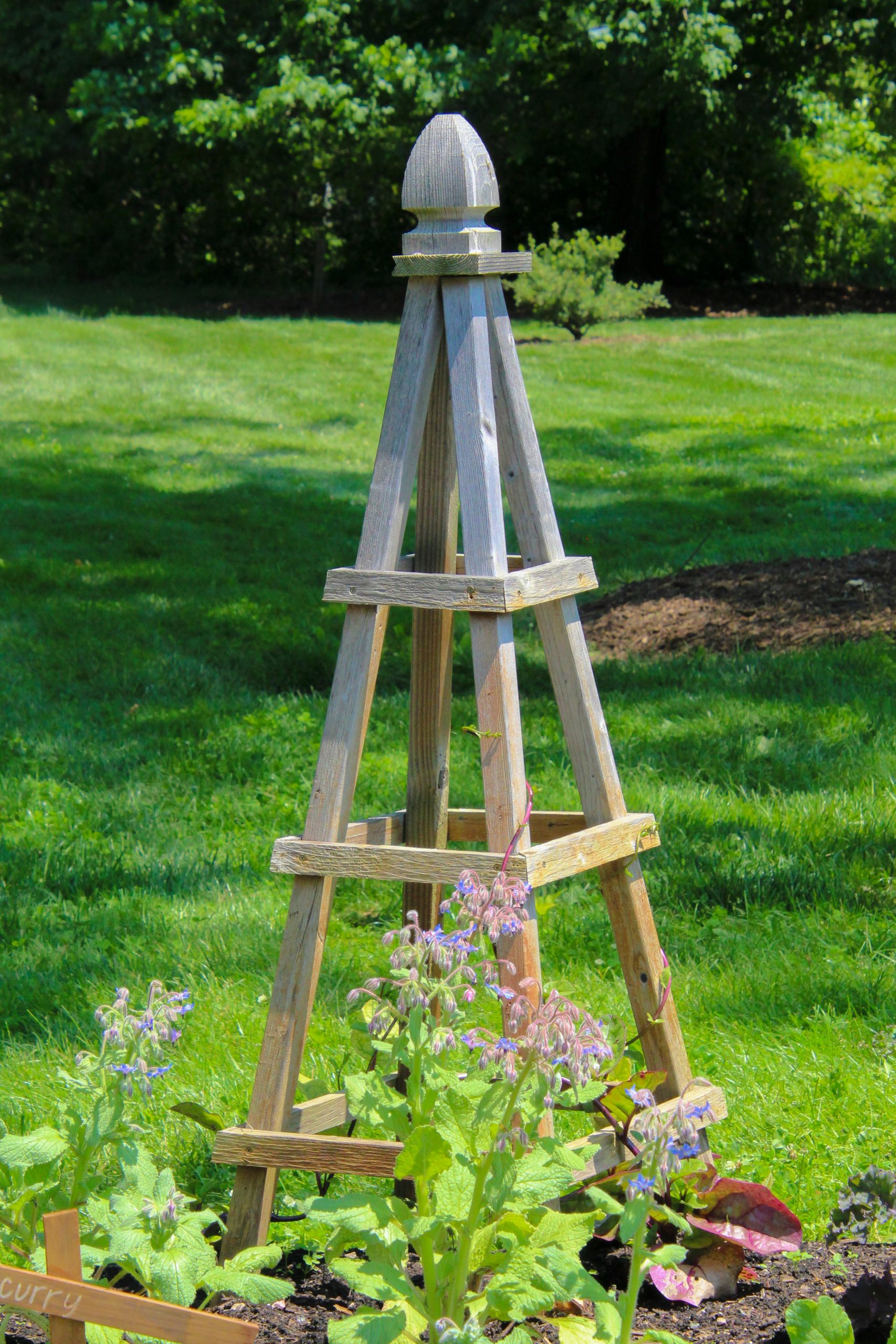 Installation facile d'un tuteur DIY pour concombre