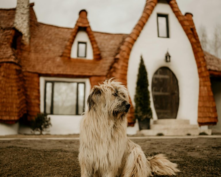 A shaggy dog assis sur une pelouse devant une maison fantaisiste à l'architecture unique.