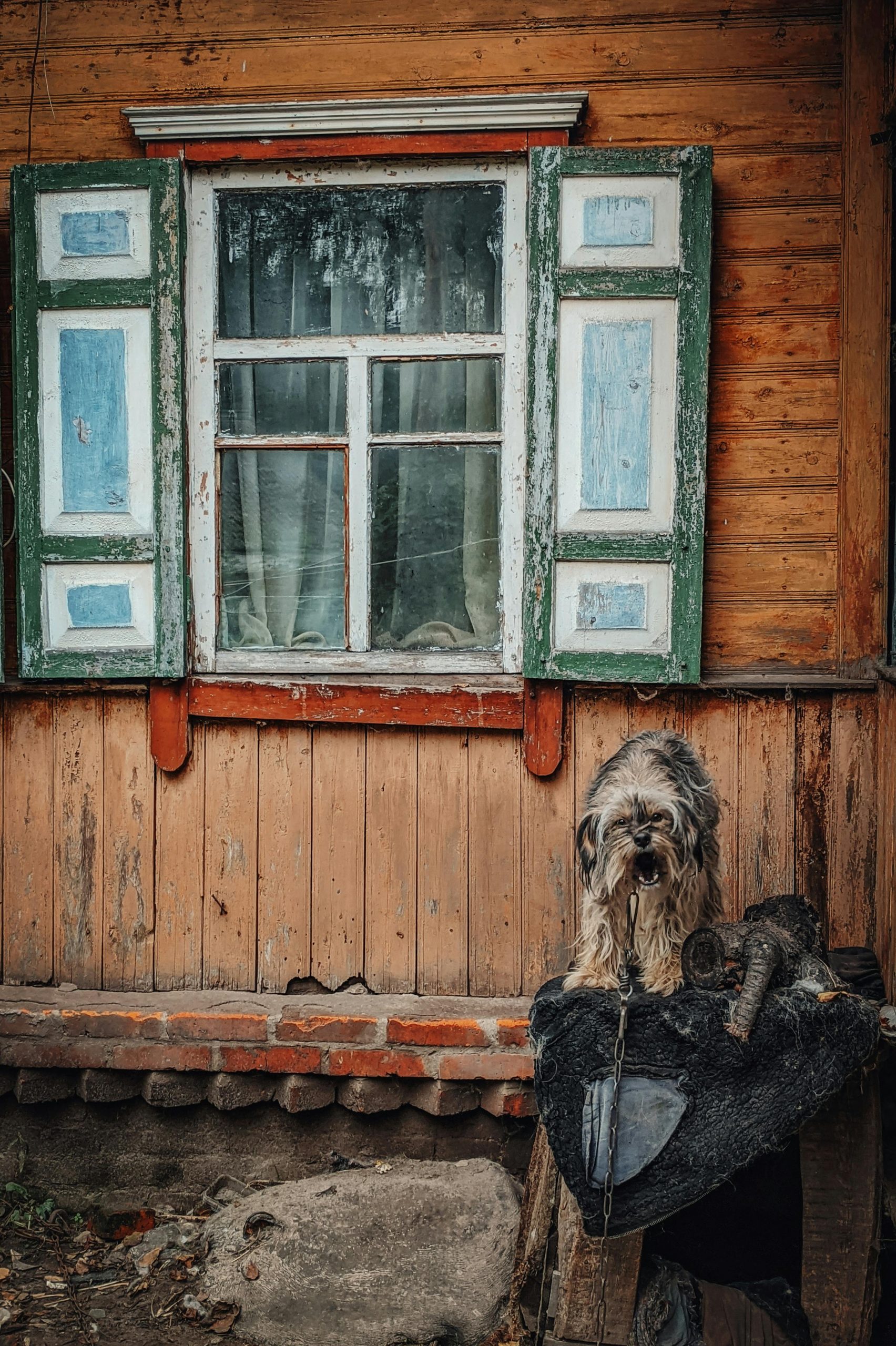 résultat final d'une niche pour chien fabriquée maison