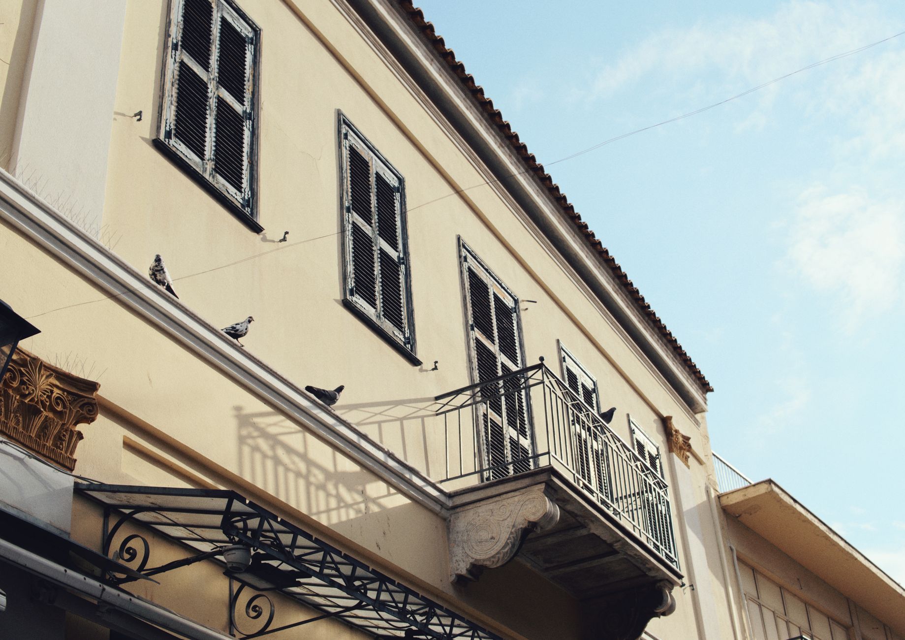 Pigeons posés sur une rambarde de balcon