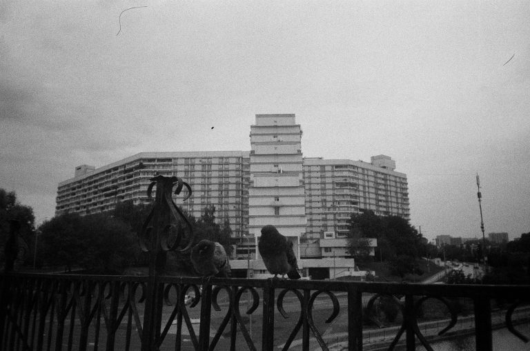 Pigeons posés sur une rambarde en ville